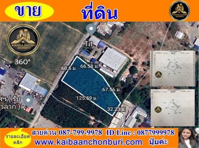 ขายที่ดินศรีราชาใกล้ปิ่นทอง3ต.บ่อวิน อ.ศรีราชา จ.ชลบุรี