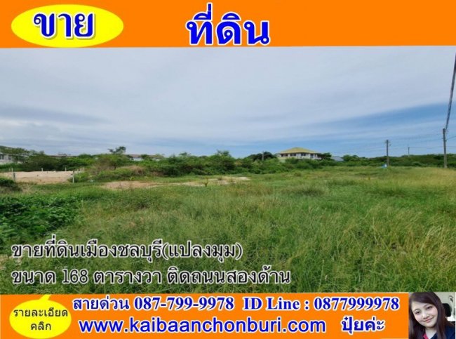 ขายถูกที่ดินเมืองชลต.เสม็ด อ.เมือง จ.ชลบุรี พิกัดถนนพระยาสัจจา