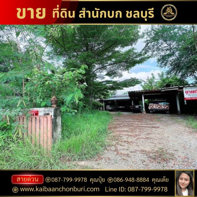 ขายที่ดินชลบุรีต.สำนักบก อ.เมืองชลบุรี จ.ชลบุรี