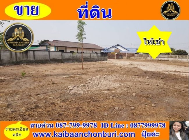 ให้เช่าที่ดินแปลงสวยหนองรี(ซอย รร เจริญสุข) อ.เมืองชลบุรี จ.ชลบุรี