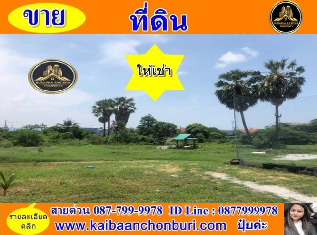 ให้เช่าที่ดินชลบุรี ขนาด 3 ไร่ 2 งาน อ.เมืองชลบุรี จ.ชลบุรี
