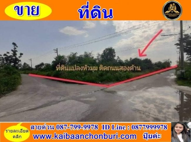 ที่ดินหนองหงษ์ที่ดินสวยพานทองแปลงหัวมุมต.หนองหงษ์ อ.พานทอง จ.ชลบุรี
