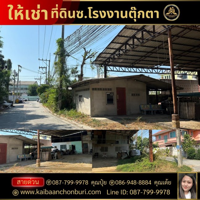 ให้เช่าที่ดินพร้อมสิ่งปลูกสร้าง ในซอยโรงงานตุ๊กตาต.เสม็ด อ.เมือง จ.ชลบุรี