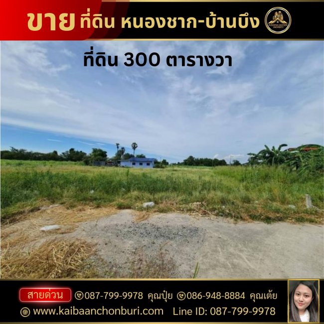 ขายที่ดินบ้านบึงชลบุรีใกล้ถนน344เนื้อที่ 300 ตารางวาต.หนองชาก อ.บ้านบึง จ.ชลบุรี