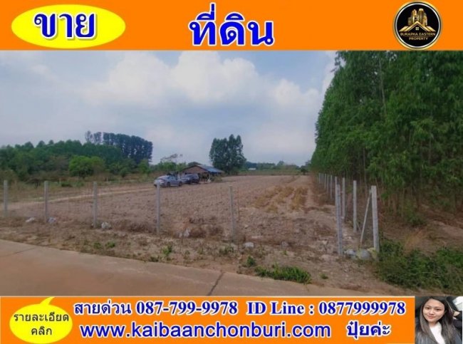 ขายถูกที่ดินสวย 2 ไร่ ไม่วุ่นวาย-ห่างจากวัดหลวงพี่แซม 3 กิโล หนองเหียง พนัสนิคม ชลบุรี 087-7999978 คุณปุ๋ย 086-9488884 คุณเต้ย