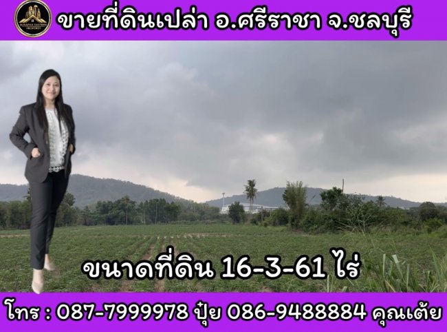 ขายที่ดินสีม่วงถูกที่สุดในย่านนี้ดินสีม่วงศรีราชา อ.ศรีราชา จ.ชลบุรี ที่ดินประเภทพัฒนาอุตสาหกรรม สีม่วง ตามผัง EEC ใกล้นิคมแหลมฉบัง