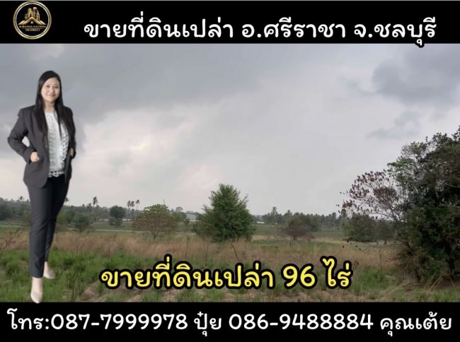 ขายที่ดินสีเหลืองถูกที่สุดในย่านนี้ศรีราชา อ.ศรีราชา จ.ชลบุรี ขนาดพื้นที่ 96 ไร่ นัดชมได้ทุกวัน 0877999978 ปุ๋ย