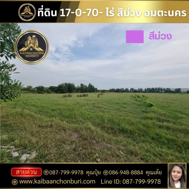 ขายที่ดินสีม่วงลายถูกที่สุดในย่านนี้ที่ดินสีม่วงลาย#อมตะนคร อ.พานทอง จ.ชลบุรี นัดชม 0877999978 คุณปุ๋ย