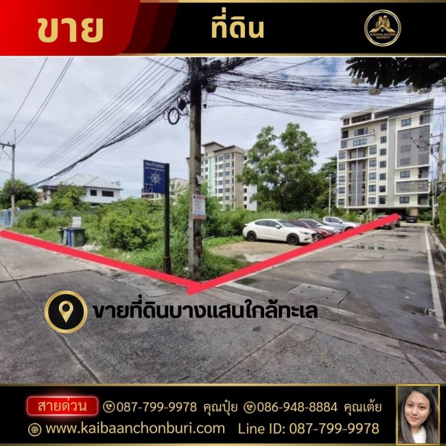 ขายที่ดินบางแสนใกล้ทะเล ที่ดินซอยภิรมย์ชล หลังมหาลัยบูรพาบางแสน ขายบ้านชลบุรี