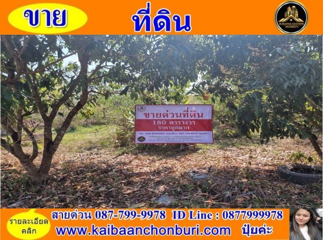 ขายที่ดินแปลงเล็กนครพนม ต.ขามเฒ่า อ.เมืองนครพนม จ.นครพนม
