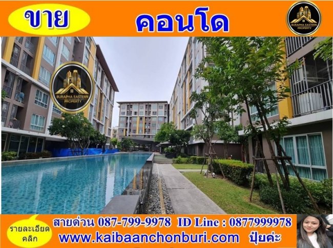 ให้เช่าคอนโดบางแสน คอนโดติดมหาวิทยาลัยบูรพาให้เช่า ต.แสนสุข อ.เมืองชลบุรี จ.ชลบุรี